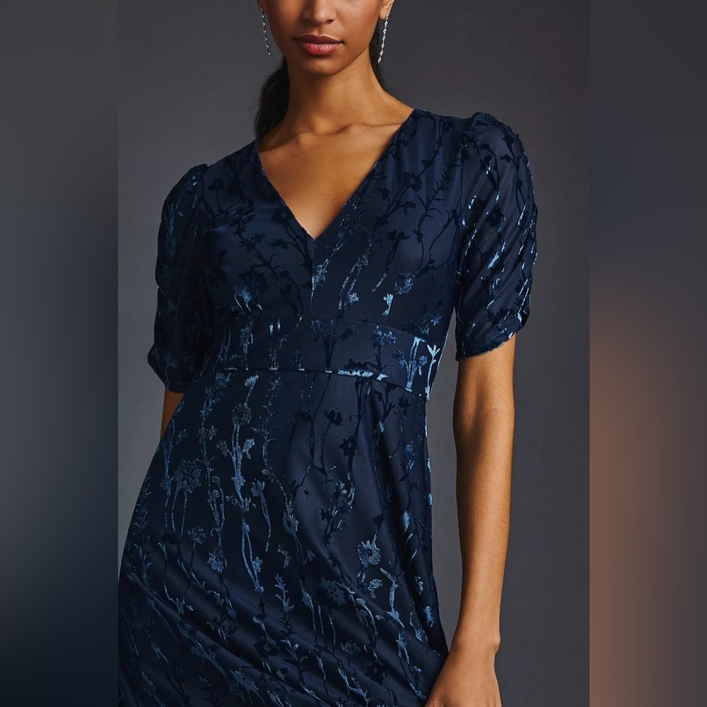 Anthropologie Hutch Puff Sleeve Burnt Velvet Midi Dress Womens 2 Blue Midi - Picture 3 of 12